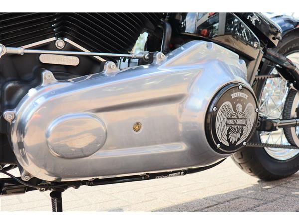 2023 HARLEY-DAVIDSON SOFTAIL STANDARD 