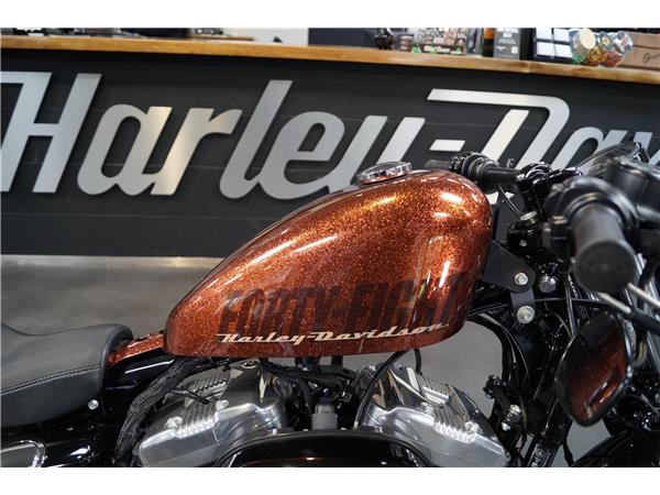 2014 Forty-Eight 48 KESS-TECH 1.HAND Garantie XL1200X