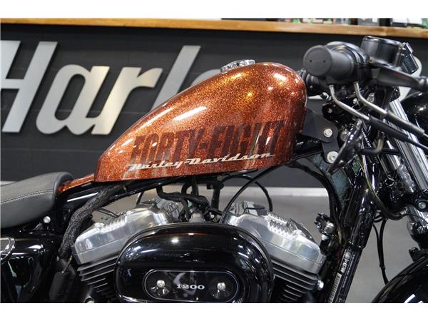 2014 Forty-Eight 48 KESS-TECH 1.HAND Garantie XL1200X
