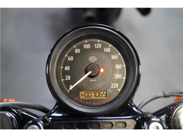 2014 Forty-Eight 48 KESS-TECH 1.HAND Garantie XL1200X