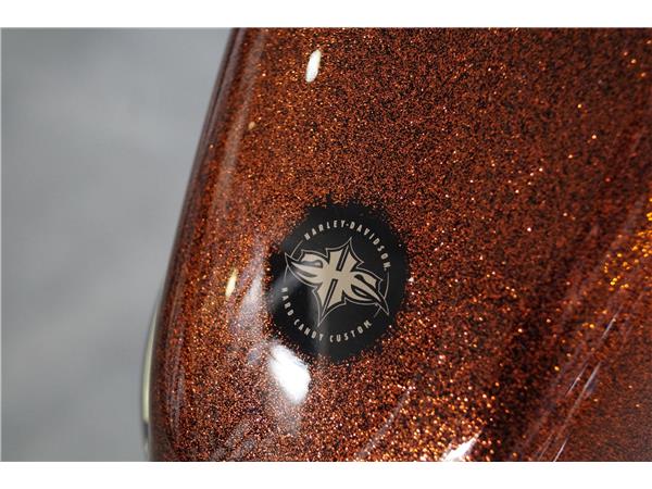 2014 Forty-Eight 48 KESS-TECH 1.HAND Garantie XL1200X