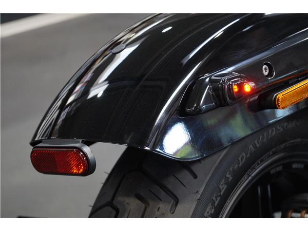 Harley-Davidson NIGHTSTER Jekill&Hyde Umbau RH975 1.Hand