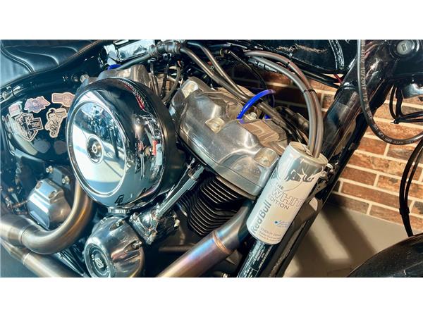 2023 HARLEY-DAVIDSON Softail FXST Softail Standard 107
