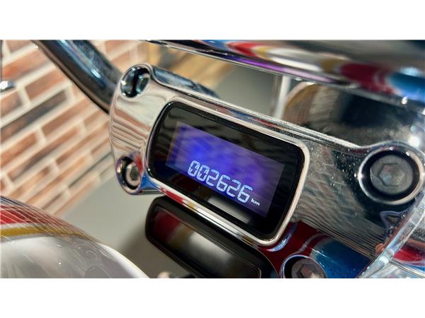 2023 HARLEY-DAVIDSON Softail FXST Softail Standard 107