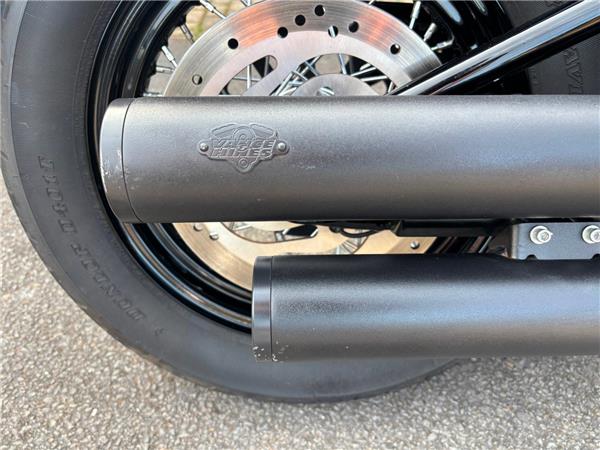 2019 HARLEY-DAVIDSON STREET BOB