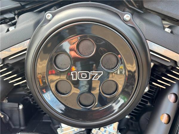 2019 HARLEY-DAVIDSON STREET BOB