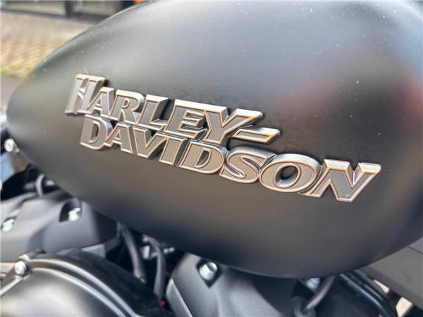 2019 HARLEY-DAVIDSON STREET BOB