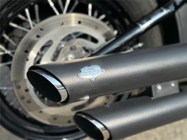 Harley-Davidson Softail