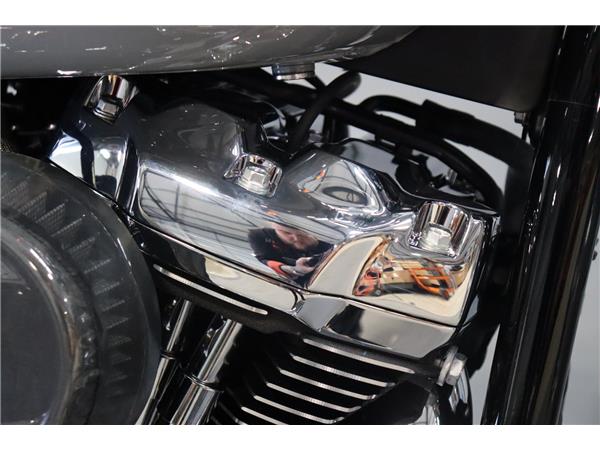 2024 HARLEY-DAVIDSON SOFTAIL FLFBS FAT BOY 114