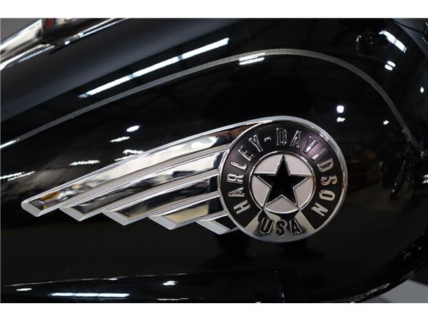 2025 HARLEY-DAVIDSON SOFTAIL FLFB FAT BOY