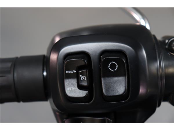 2025 HARLEY-DAVIDSON SOFTAIL FLFB FAT BOY