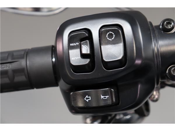2025 HARLEY-DAVIDSON SOFTAIL FLFB FAT BOY