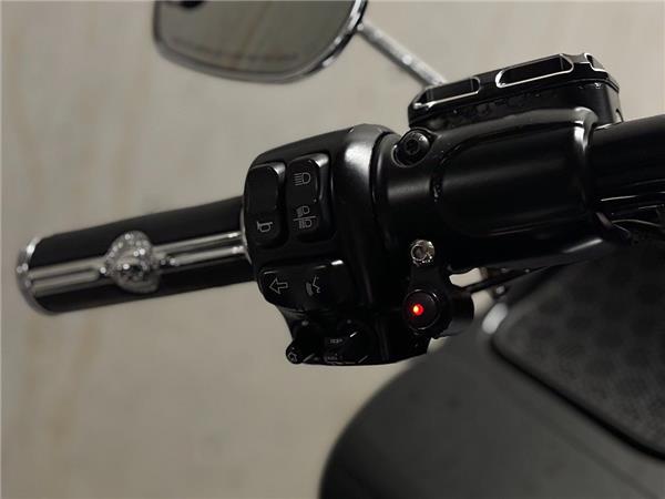 2015 Harley-Davidson Road Glide FLTR
