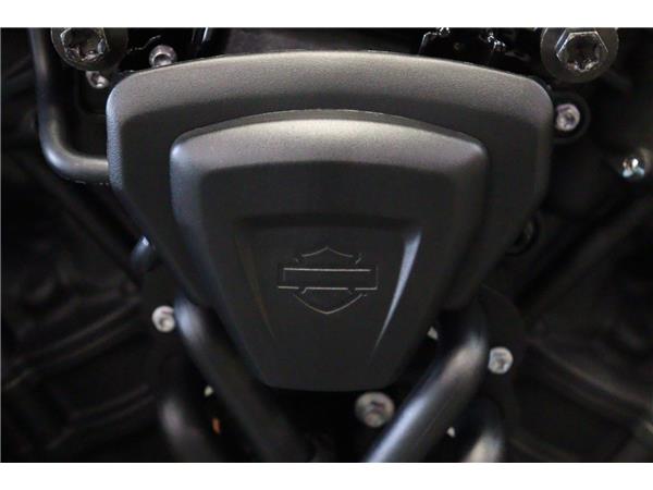 2024 HARLEY-DAVIDSON NIGHTSTER SPECIAL