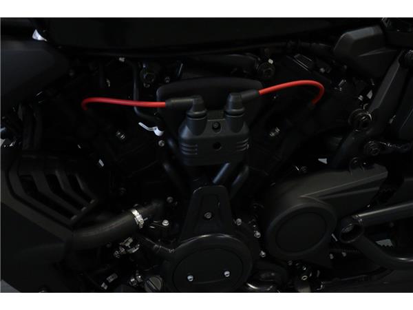 2025 HARLEY-DAVIDSON SPORTSTER S