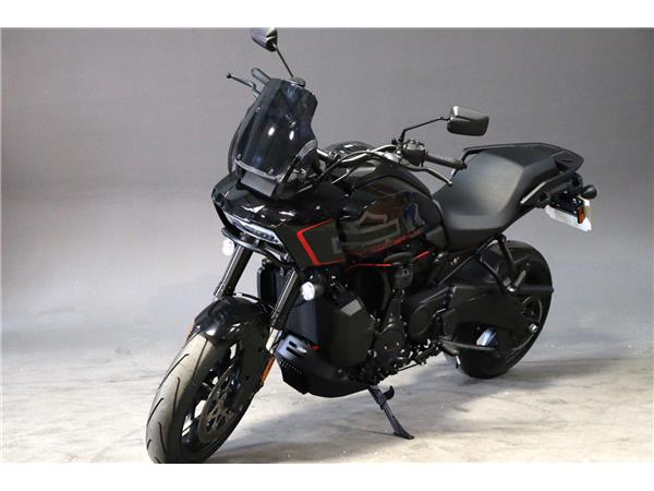 2025 HARLEY-DAVIDSON PAN AMERICA 1250ST