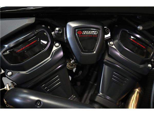 2025 HARLEY-DAVIDSON PAN AMERICA 1250ST