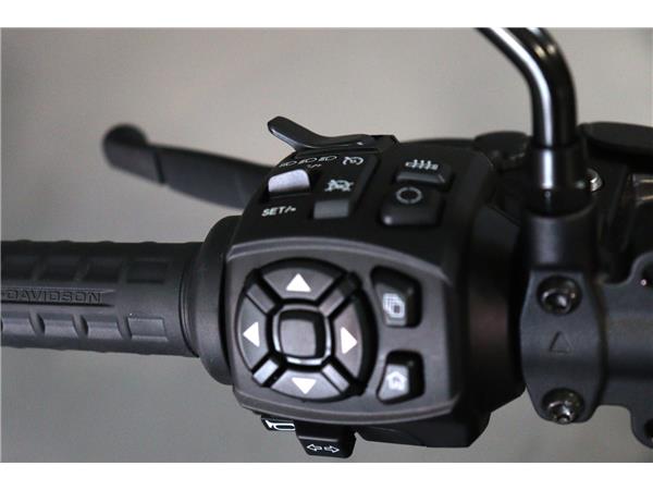 2025 HARLEY-DAVIDSON PAN AMERICA 1250ST