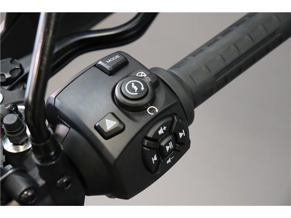 2024 HARLEY-DAVIDSON ADVENTURE TOURING RA1250S PAN AMERICA 1250 SPECIAL