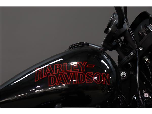 2025 HARLEY-DAVIDSON LOW RIDER S