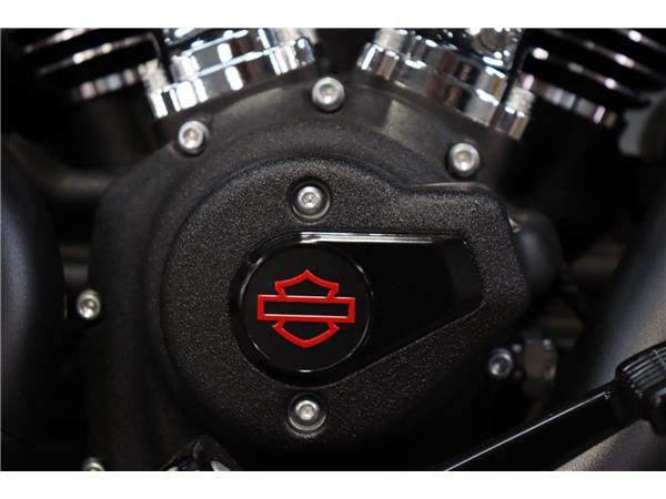 2025 HARLEY-DAVIDSON LOW RIDER S