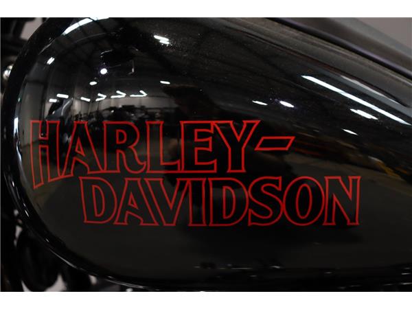 2025 HARLEY-DAVIDSON LOW RIDER S