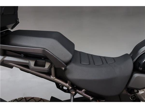 2022 HARLEY-DAVIDSON ADVENTURE TOURING RA1250 PAN AMERICA 1250