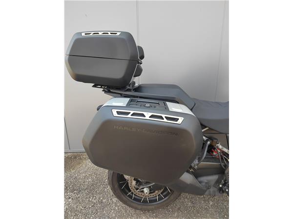 2023 Pan America 1250 Special