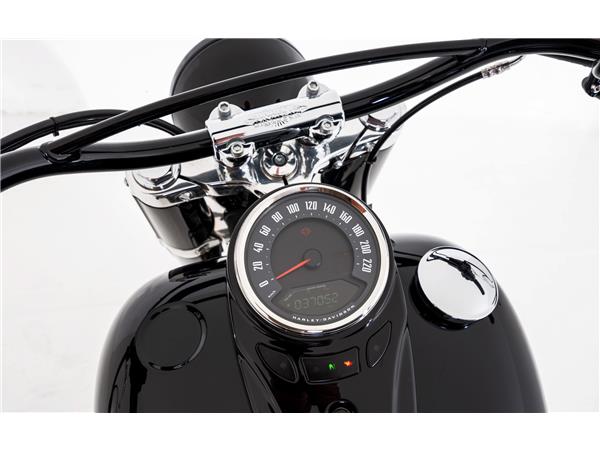 2022 HARLEY-DAVIDSON Softail FLSL Softail Slim 107