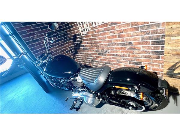 2022 HARLEY-DAVIDSON Softail FXST Softail Standard 107