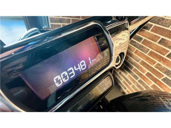 2022 HARLEY-DAVIDSON Softail FXST Softail Standard 107