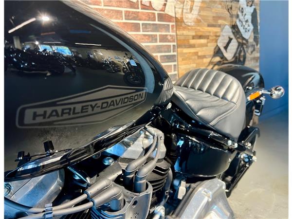 2022 HARLEY-DAVIDSON Softail FXST Softail Standard 107