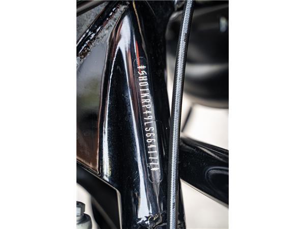 Harley-Davidson FLHXS Street Glide 114 cui - Jekill & Hyde -