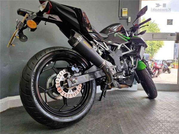 2024 Kawasaki Z125 Green
