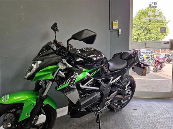 2024 Kawasaki Z125 Green