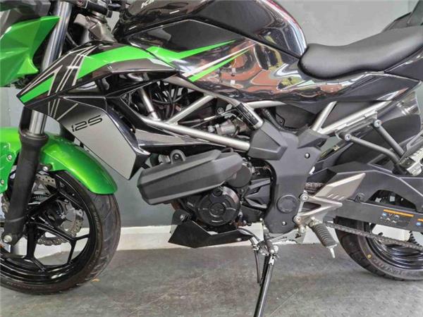 2024 Kawasaki Z125 Green