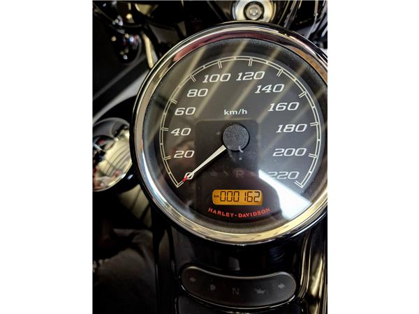 2024 HARLEY-DAVIDSON FREEWHEELER