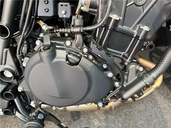 2024 Kawasaki Eliminator 500