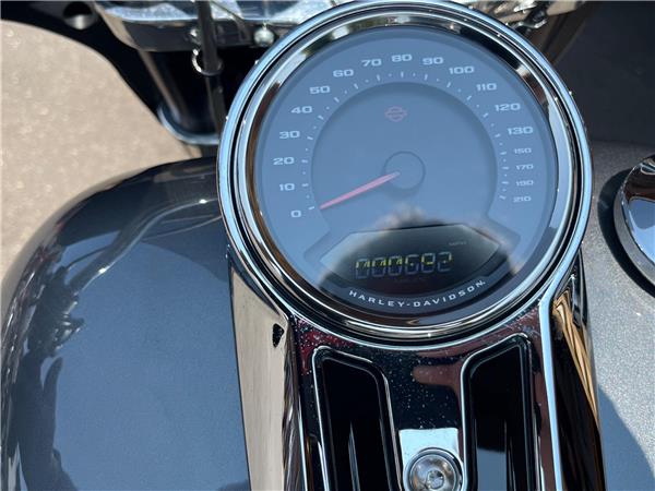 2023 Harley-Davidson Softail