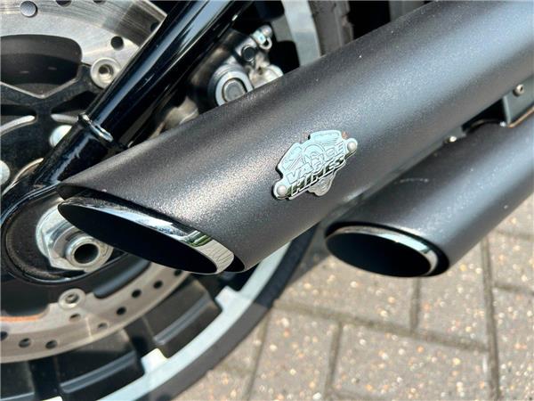 2020 HARLEY-DAVIDSON Softail