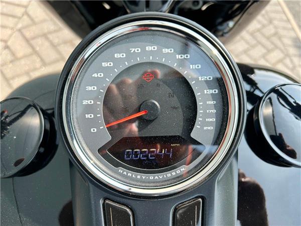 2020 HARLEY-DAVIDSON Softail