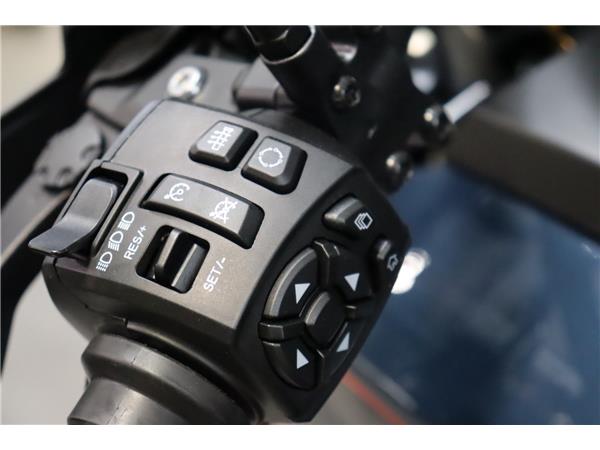 2025 HARLEY-DAVIDSON ADVENTURE TOURING RA1250SE PAN AMERICA CVO