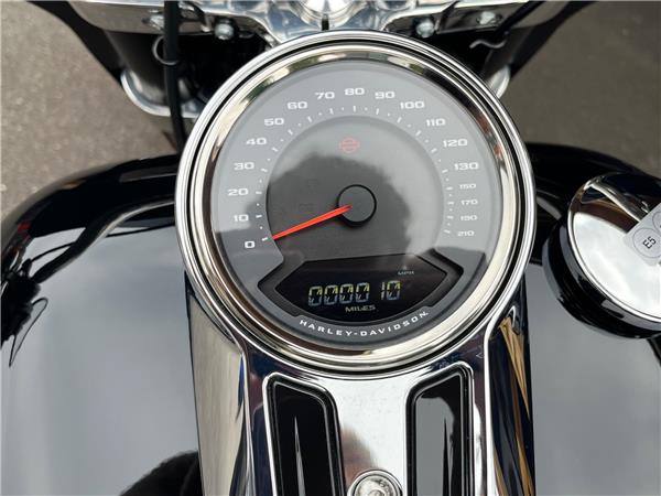 2024 Harley-Davidson Softail