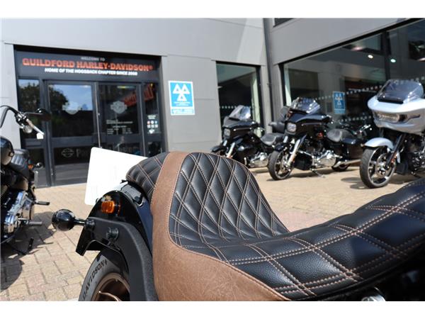 2021 HARLEY-DAVIDSON SOFTAIL FXLRS LOW RIDER S