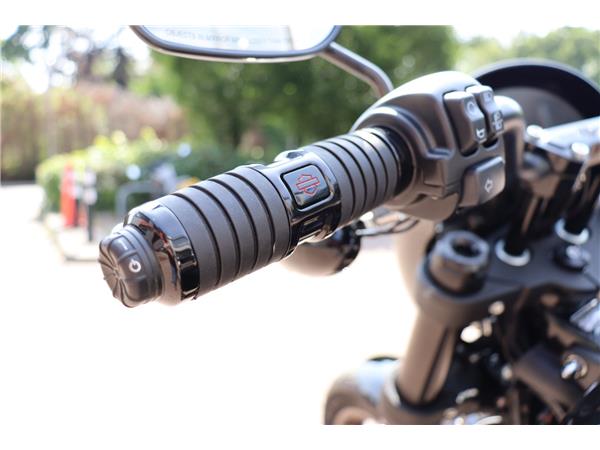2021 HARLEY-DAVIDSON SOFTAIL FXLRS LOW RIDER S