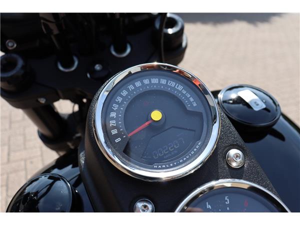 2021 HARLEY-DAVIDSON SOFTAIL FXLRS LOW RIDER S