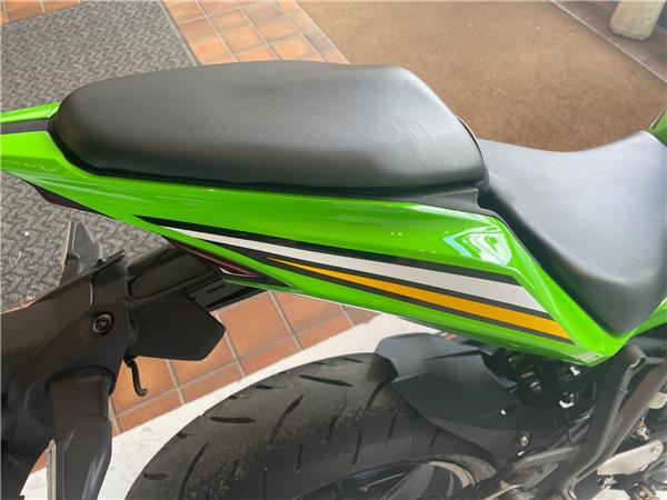 2025 Kawasaki Ninja ZX-4RR