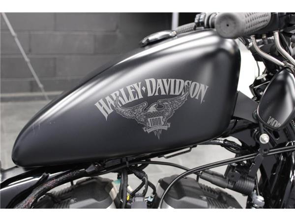 2016 Harley-Davidson Iron 883
