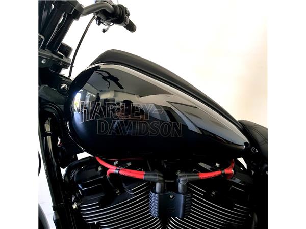HARLEY-DAVIDSON LOW RIDER S