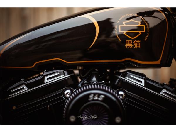 2019 HARLEY-DAVIDSON FORTY EIGHT